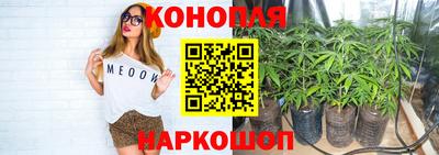 прущая мука Можайск