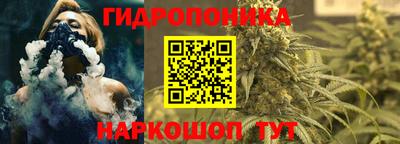 винт Можга