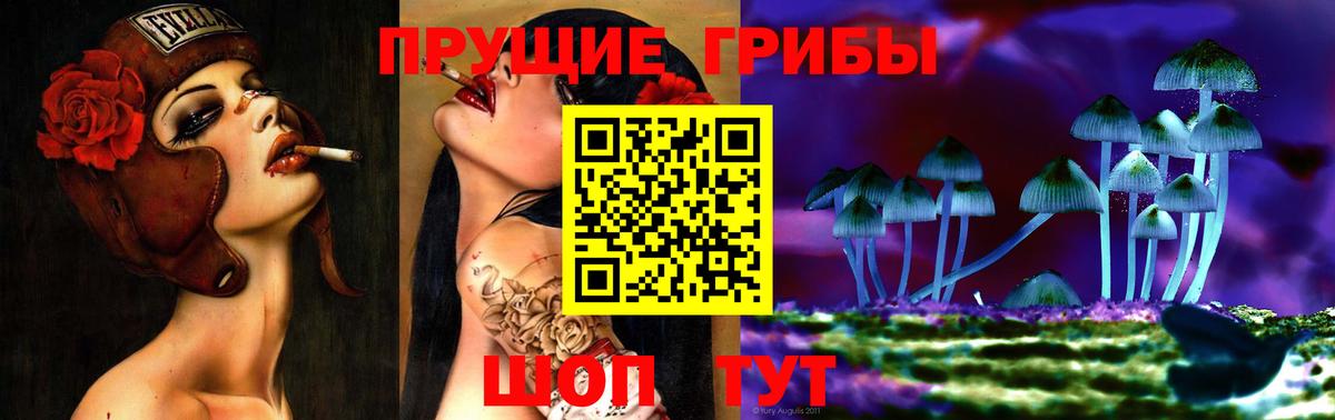 закладки  Вход с VPN  Урус-Мартан  Галлюциногенные грибы прущие грибы  Псилоцибиновые грибы Psilocybine cubensis 